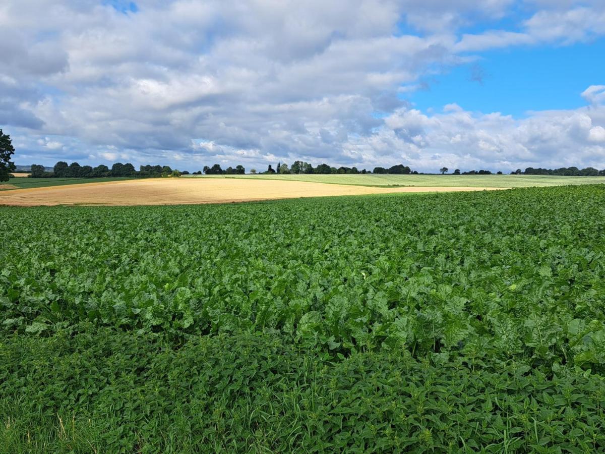 Steef'S Vakantiehuis Zuid Limburg Simpelveld Bagian luar foto