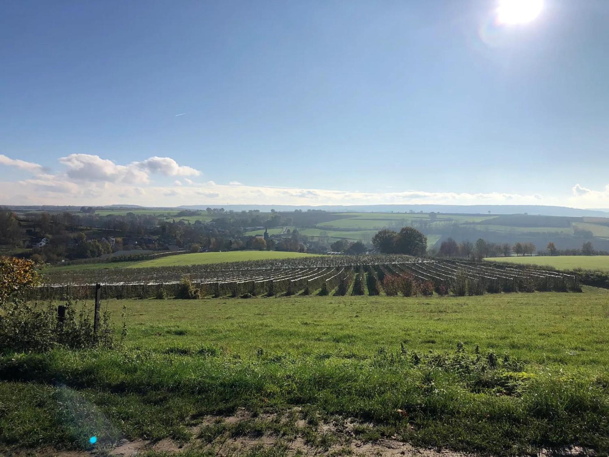 Steef'S Vakantiehuis Zuid Limburg Simpelveld Bagian luar foto