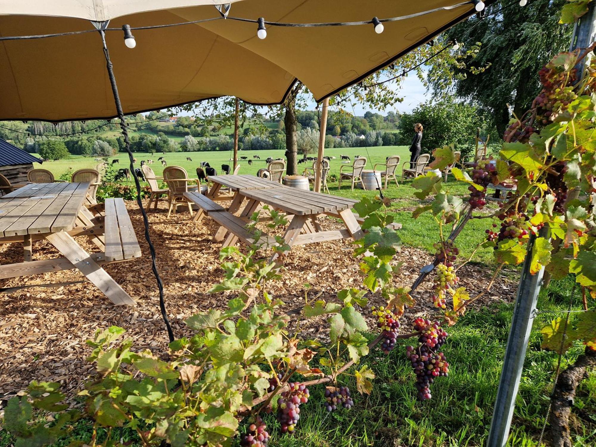 Steef'S Vakantiehuis Zuid Limburg Simpelveld Bagian luar foto